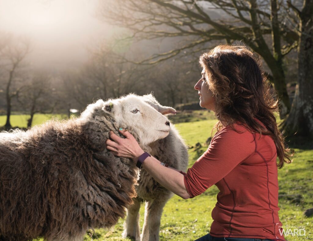 Coniston's Herdwick Experience farm to appear on ITV's Sunday Morning show The Herdwick Experience