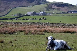 Swinside Stone Circle