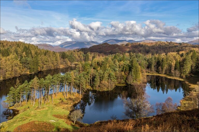 Tarn Hows Picnic