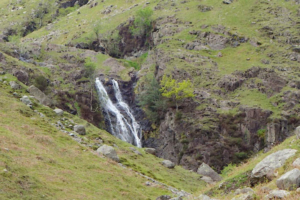 Whorneyside Force