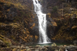 Whorneyside Force