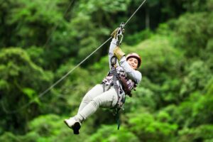 Concerns raised over zip wires plan at Lake District forest