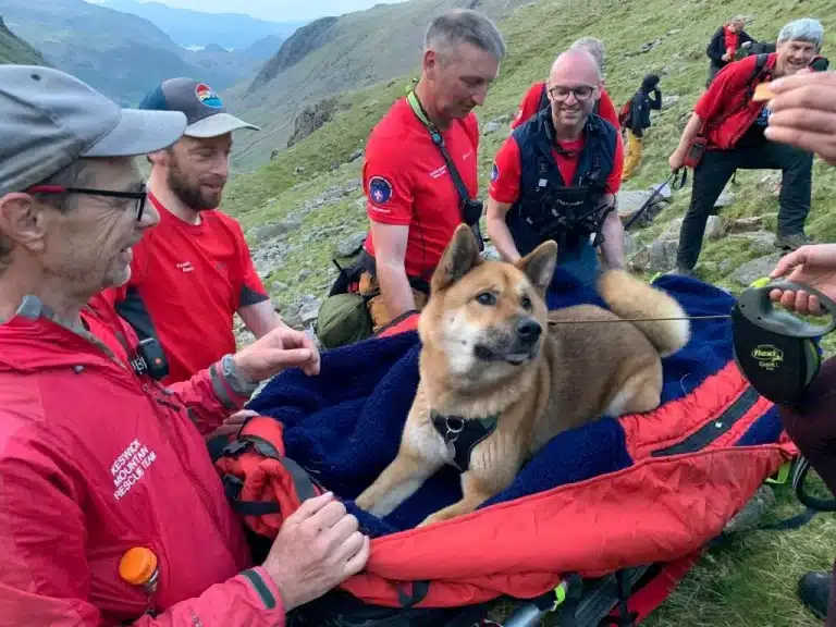 Esk Hause Dog Rescue