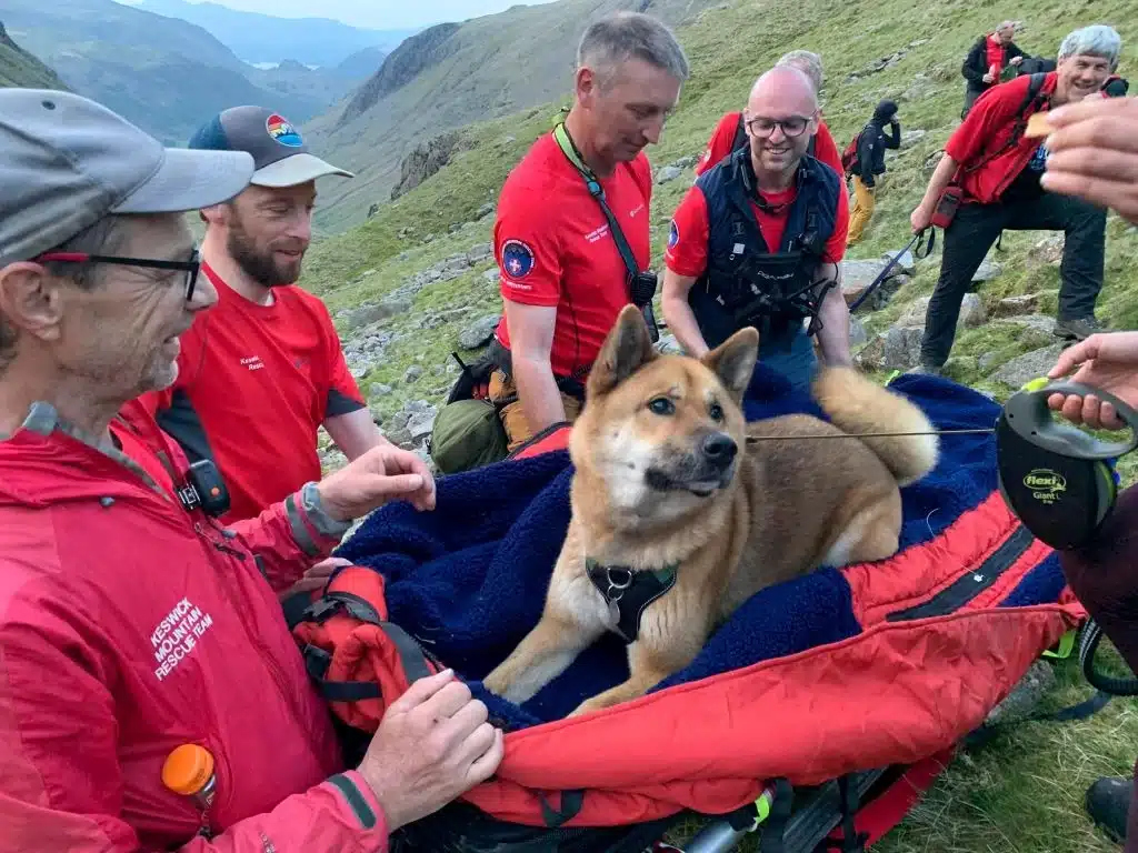 Esk Hause Dog Rescue