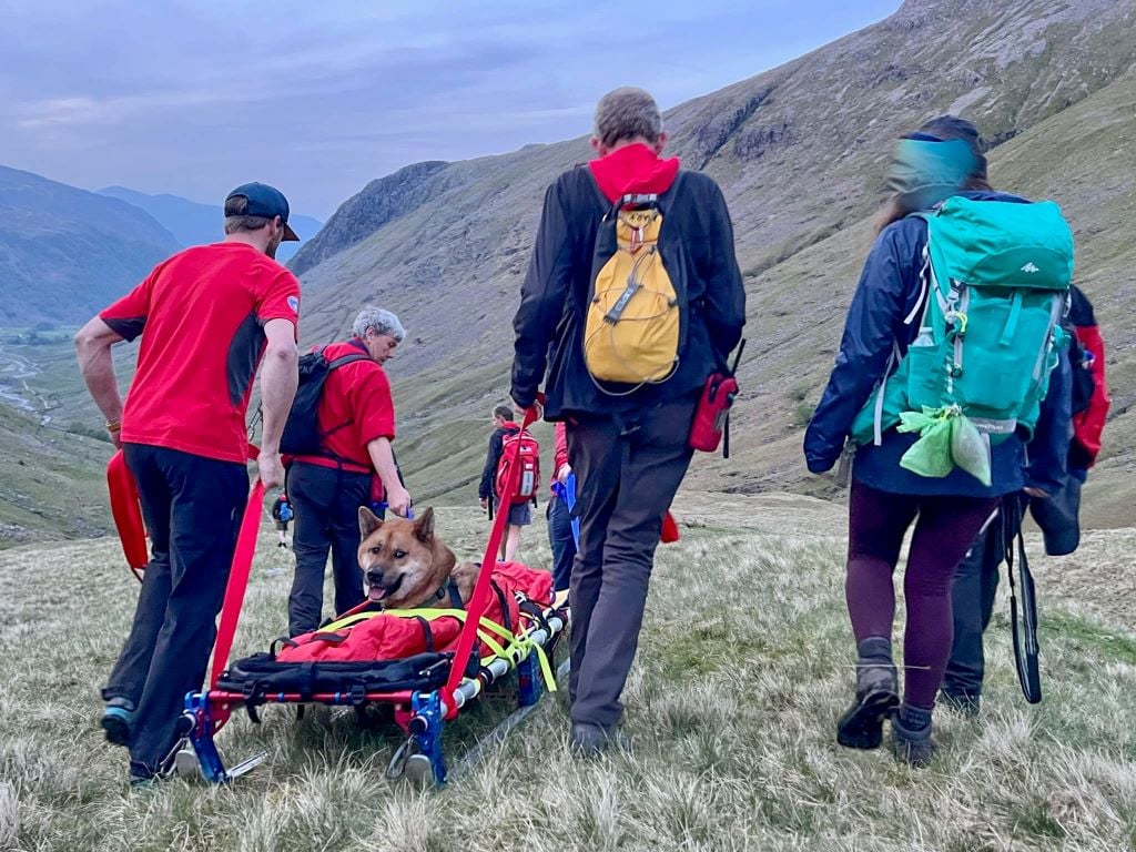 Keswick Mountain Rescue Team come to aid of injured and exhausted dog KMRT Dog Rescue 2