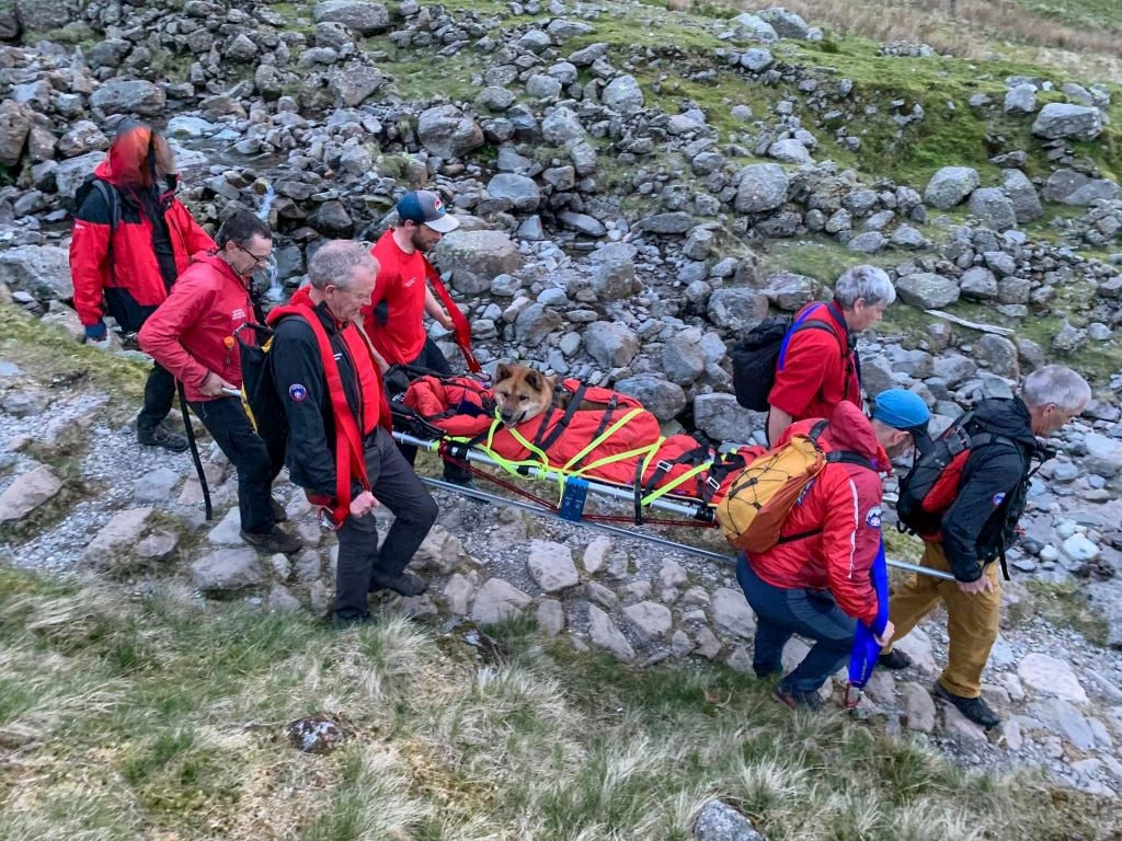 Keswick Mountain Rescue Team come to aid of injured and exhausted dog Dog Rescue on Scafell
