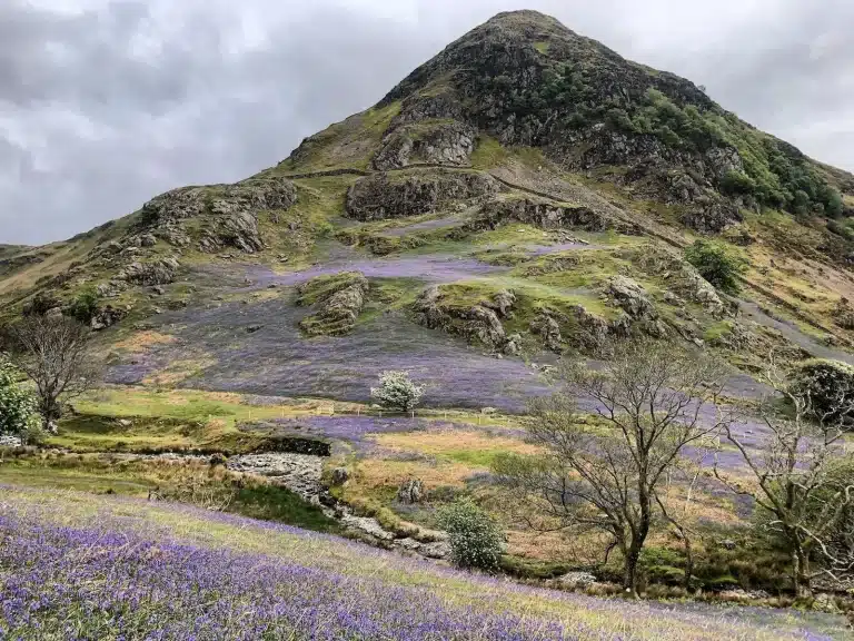 Rannerdale Knotts