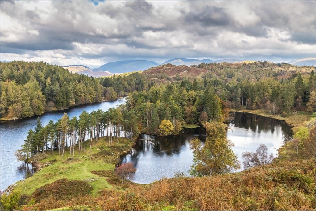 Picnic at Tarn Hows: A Guide to Planning the Perfect Day Tarn Hows Walk