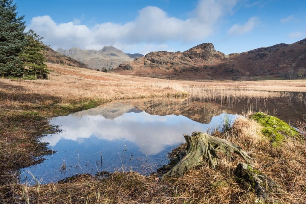 Langdale Valley Blea Tarn Langdale Valley