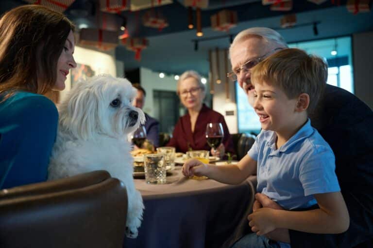 Dog-Friendly Pubs in the Lake District